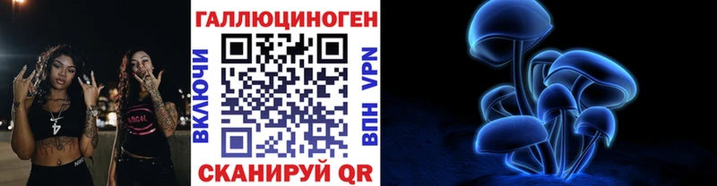блэк спрут tor  Малая Вишера  Псилоцибиновые грибы GOLDEN TEACHER 